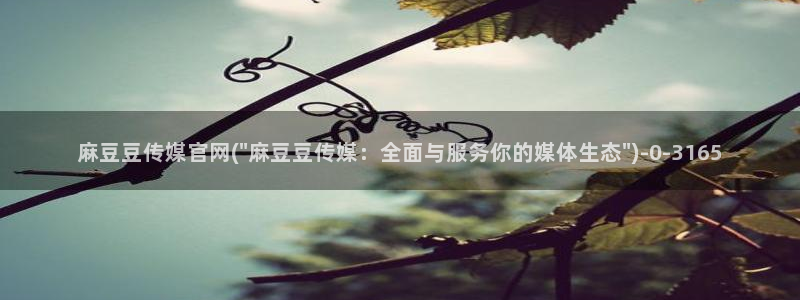 麻豆视频清晰导航