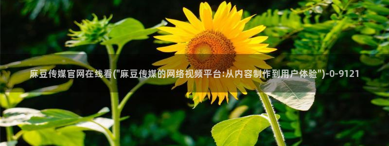 麻豆影视合集