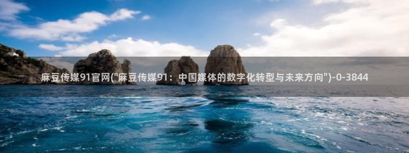麻豆资源站模板