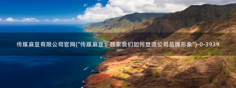 麻豆视频分类规则