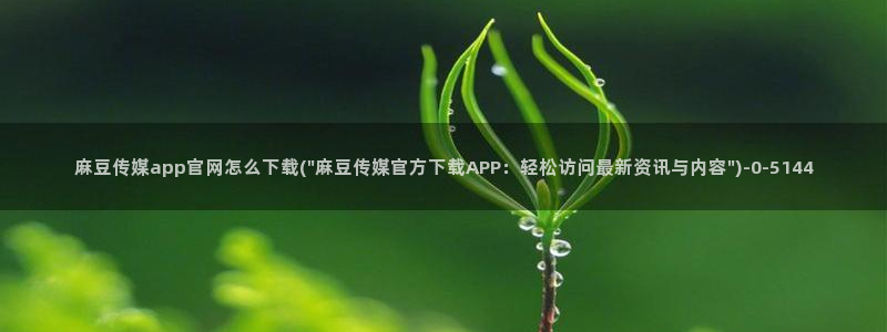 麻豆视频在线