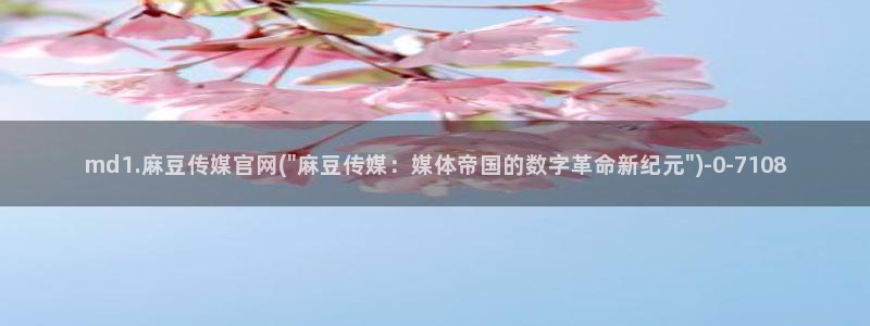 麻豆演员资料