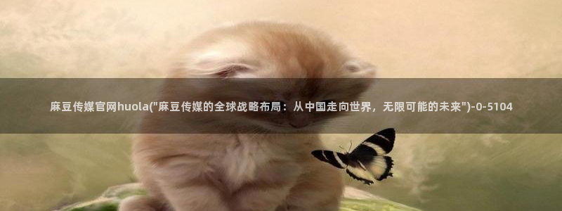 麻豆视频导航