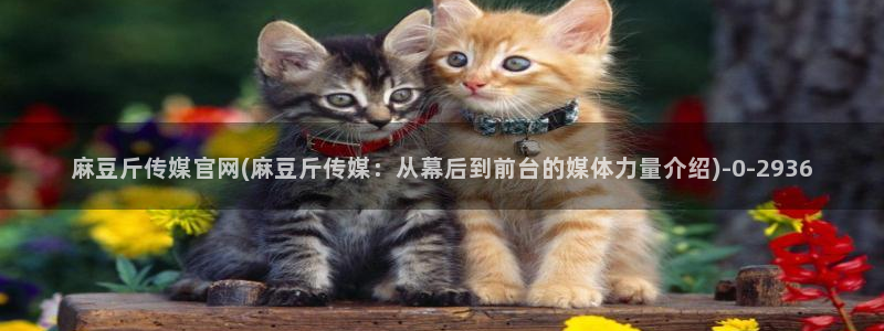 麻豆剧情标题