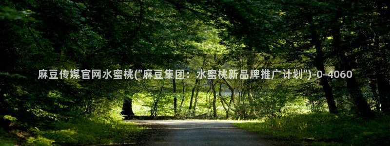 麻豆SEO模板