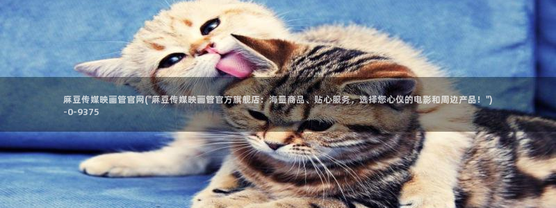 麻豆视频相关推荐词