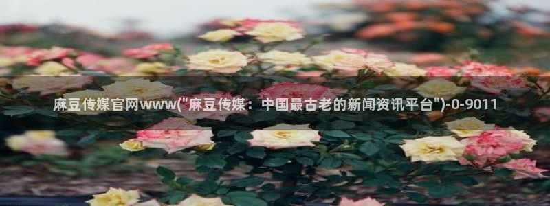 麻豆自定义库
