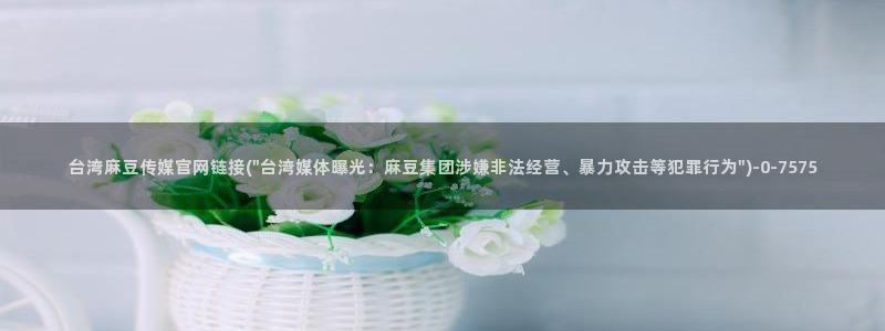 麻豆视频伪原创