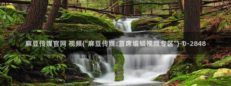 麻豆演员图鉴：麻豆传媒官网 视频(\