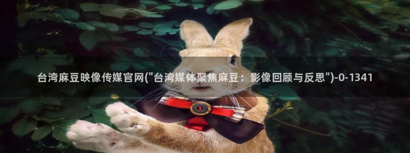 麻豆视频指南文案：台湾麻豆映像传媒官网(\