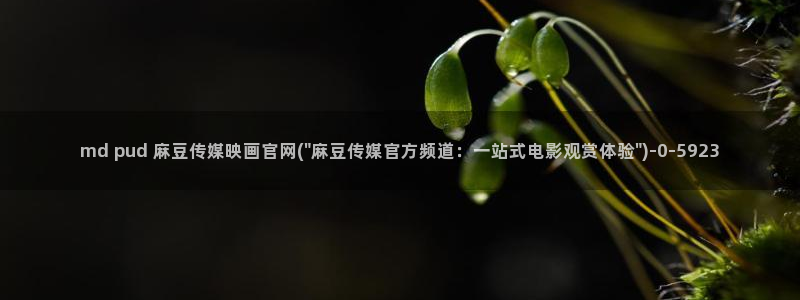 麻豆资讯描述：md pud 麻豆传媒映画官网(\