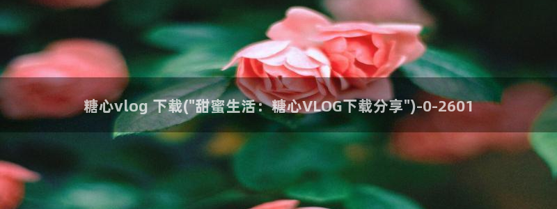 糖心vuog
