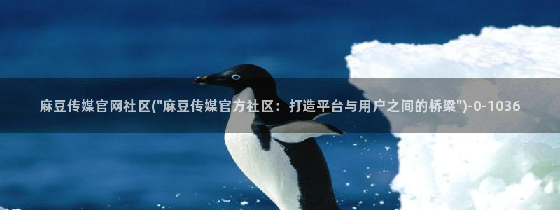 麻豆视频文章内容