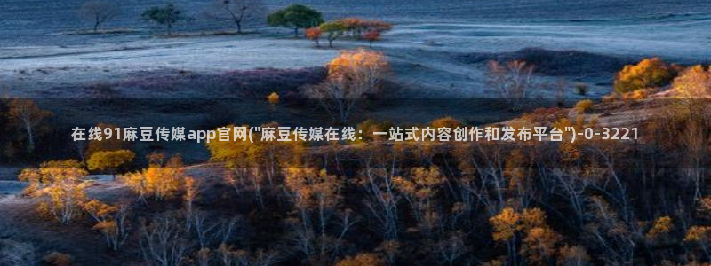 麻豆视频关键词