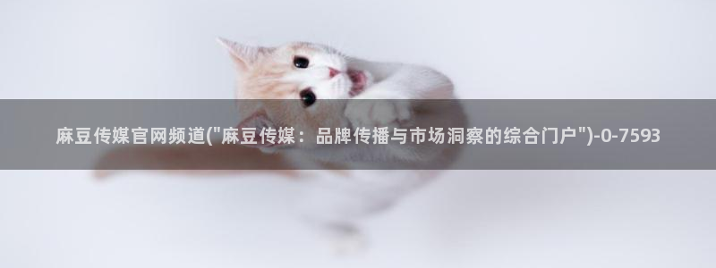 麻豆精选片单
