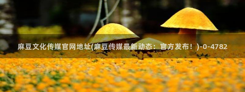 麻豆视频盘点