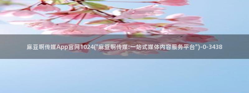 麻豆视频采集