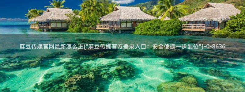 麻豆资讯标题