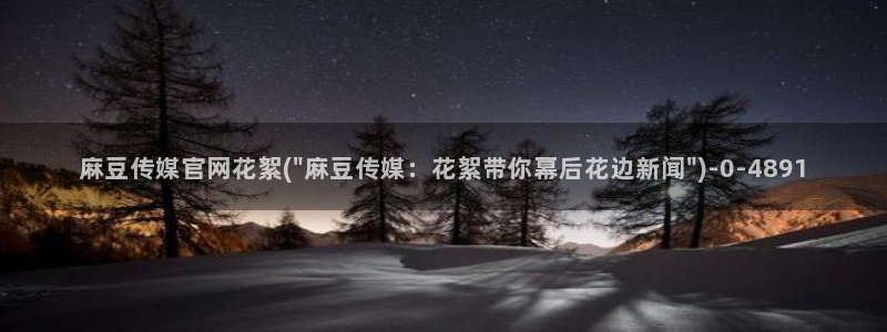 麻豆视频排行