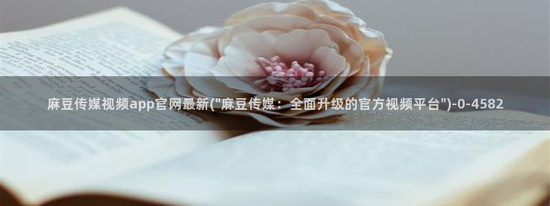 麻豆视频标签规划