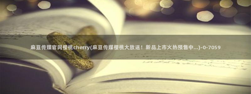麻豆视频演员文案