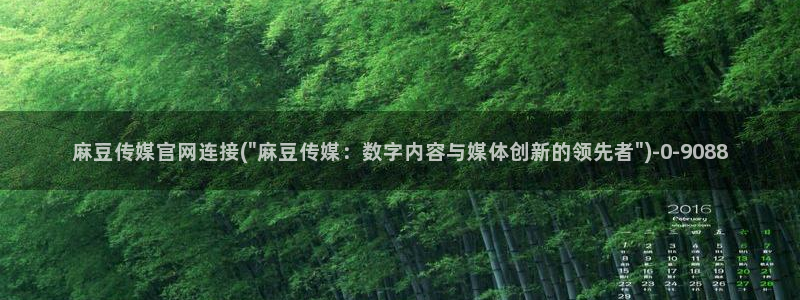 麻豆视频百度优化