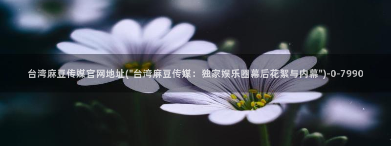 麻豆人物关系