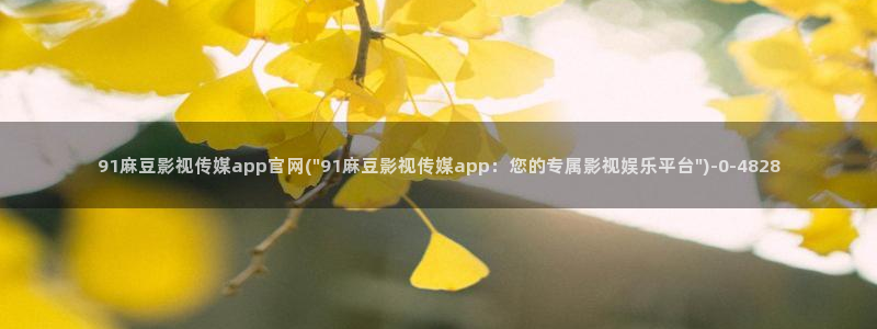 麻豆拍摄花絮