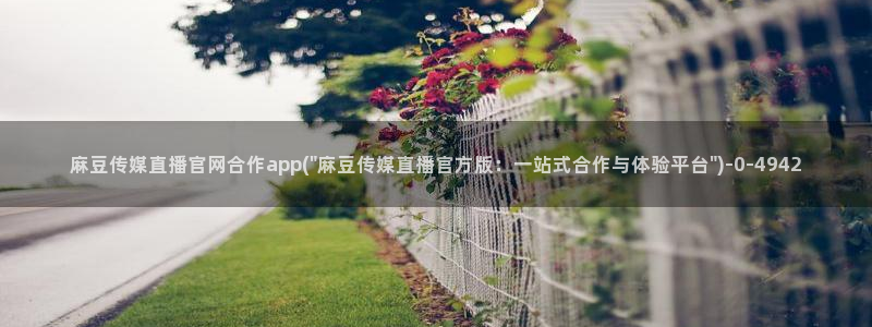 麻豆精选片单