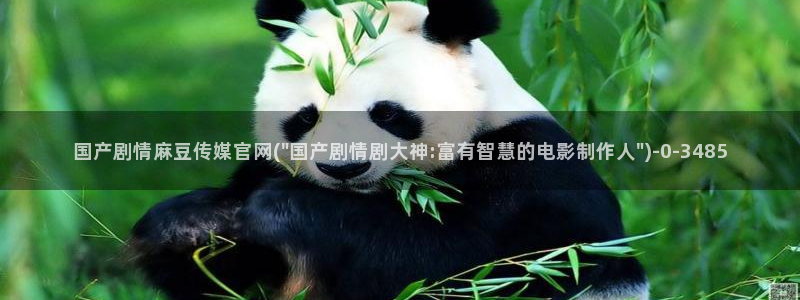 麻豆影视资讯