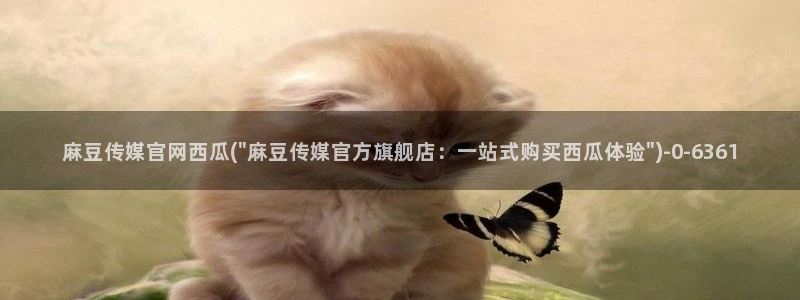 麻豆视频列表文案