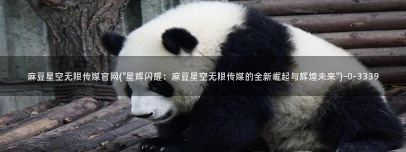 麻豆视频采集