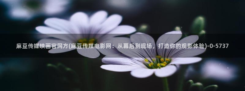 麻豆视频专题维护