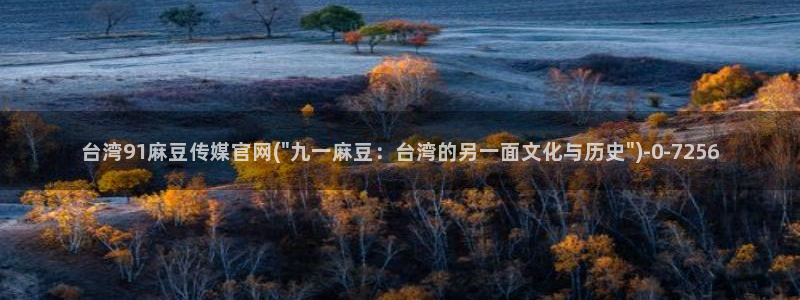 麻豆视频分类规则