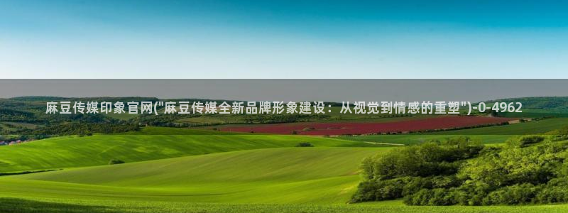 麻豆采集模板