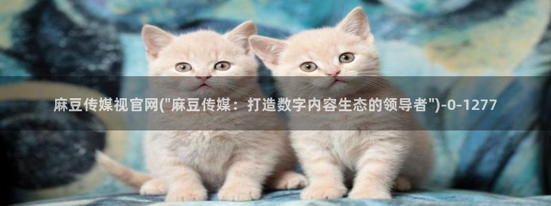 麻豆演员