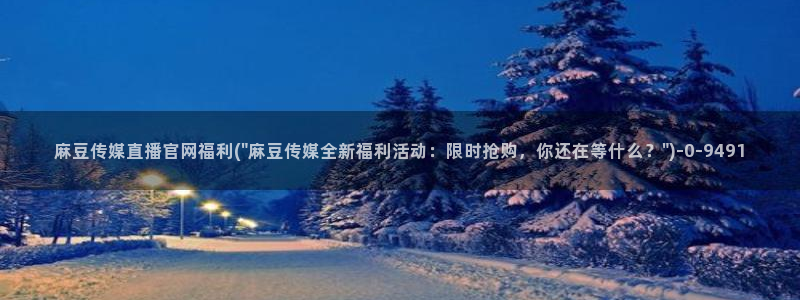 麻豆人物关系