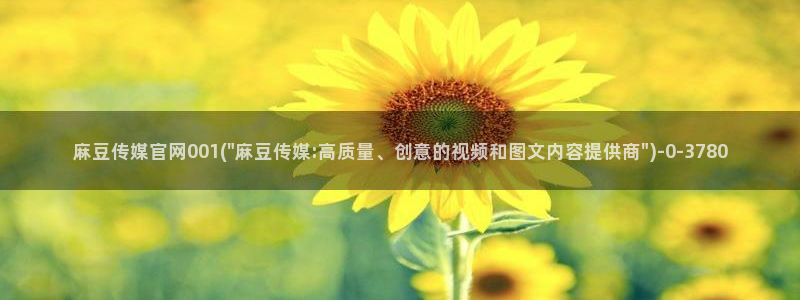 麻豆视频指南文案