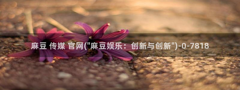 麻豆视频可读内容